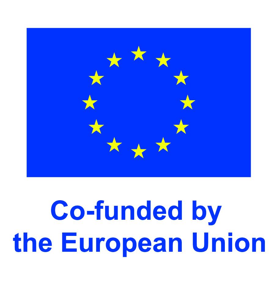 Co-funded by the European Union